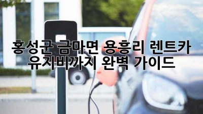 홍성군 금마면 용흥리 렌트카, 유지비까지 완벽 가이드!