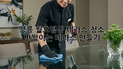 강릉 월호평동 테라스 청소: 반짝이는 테라스 만들기