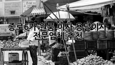 종로6가 원룸 이사, 용달이사 전문업체 추천